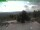Webcam sul Inselsberg, 17.2 km