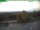 Webcam on mount Inselsberg, 10.3 mi away