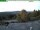 Webcam on mount Inselsberg, 10.3 mi away