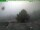 Webcam sul Inselsberg, 18.7 km