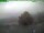 Webcam auf dem Inselsberg, 0.2 km entfernt