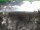 Webcam sul Inselsberg, 0.2 km