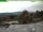 Webcam on mount Inselsberg, 6.2 mi away