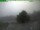 Webcam sul Inselsberg, 31.3 km