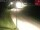 Webcam in Brandenberg, 2.9 mi away