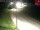 Webcam in Brandenberg, 0 km