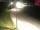 Webcam in Brandenberg, 6.5 km entfernt