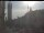 Webcam in Straubing, 4.3 mi away
