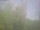 Webcam in Ittigen, 7.1 km entfernt