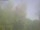 Webcam in Ittigen, 3.3 km entfernt