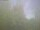 Webcam in Ittigen, 4.4 km