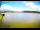 Webcam in Zechlinerhütte, 16.3 mi away