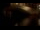 Webcam in Venise, 1.5 km