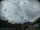 Webcam in Bredfield, 7.7 mi away