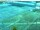 Webcam in Magdeburg, 22 mi away