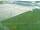 Webcam in Magdeburgo, 35.4 km