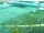 Webcam in Magdeburg, 42.8 km
