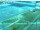 Webcam in Magdeburg, 19.5 mi away