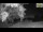 Webcam in Parma, 8.6 km