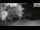 Webcam in Parma, 14.8 km
