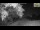 Webcam in Parma, 11.9 km