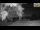 Webcam in Parma, 12 km
