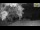 Webcam in Parma, 3.2 km