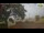 Webcam in Parma, 1.2 mi away