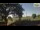 Webcam in Parma, 8.2 mi away