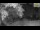 Webcam in Parma, 10.1 mi away