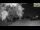 Webcam in Parma, 2.7 km