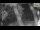 Webcam in Parma, 20.1 mi away