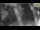 Webcam in Parma, 2.7 km entfernt