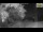 Webcam in Parma, 5.5 km