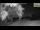 Webcam in Parma, 14.2 mi away