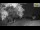 Webcam in Parma, 12.9 mi away
