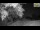 Webcam in Parma, 39.5 km entfernt