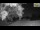 Webcam in Parma, 4.7 mi away