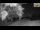 Webcam in Parma, 9.3 mi away