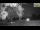 Webcam in Parma, 10.1 mi away