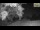 Webcam in Parma, 8.2 mi away