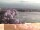 Webcam in Halle (Saale), 13.2 mi away