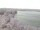 Webcam in Halle (Saale), 12.9 mi away