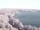 Webcam in Halle (Saale), 10.4 mi away