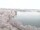 Webcam in Halle (Saale), 15.6 mi away