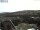 Webcam in Hinterzarten, 0.7 km