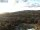 Webcam in Hinterzarten, 8 km