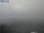 Webcam in Hinterzarten, 3.5 mi away