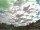 Webcam in Clevedon, 12.8 km entfernt