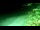 Webcam in Negril, 337.4 km